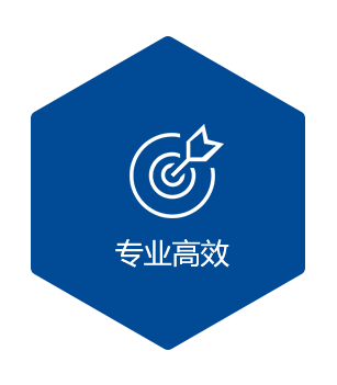 专业高效