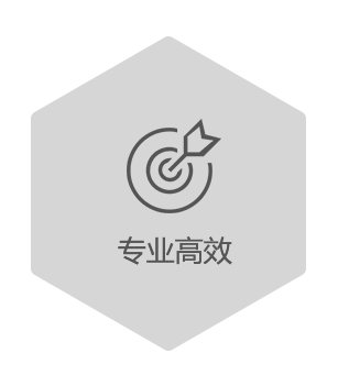 专业高效