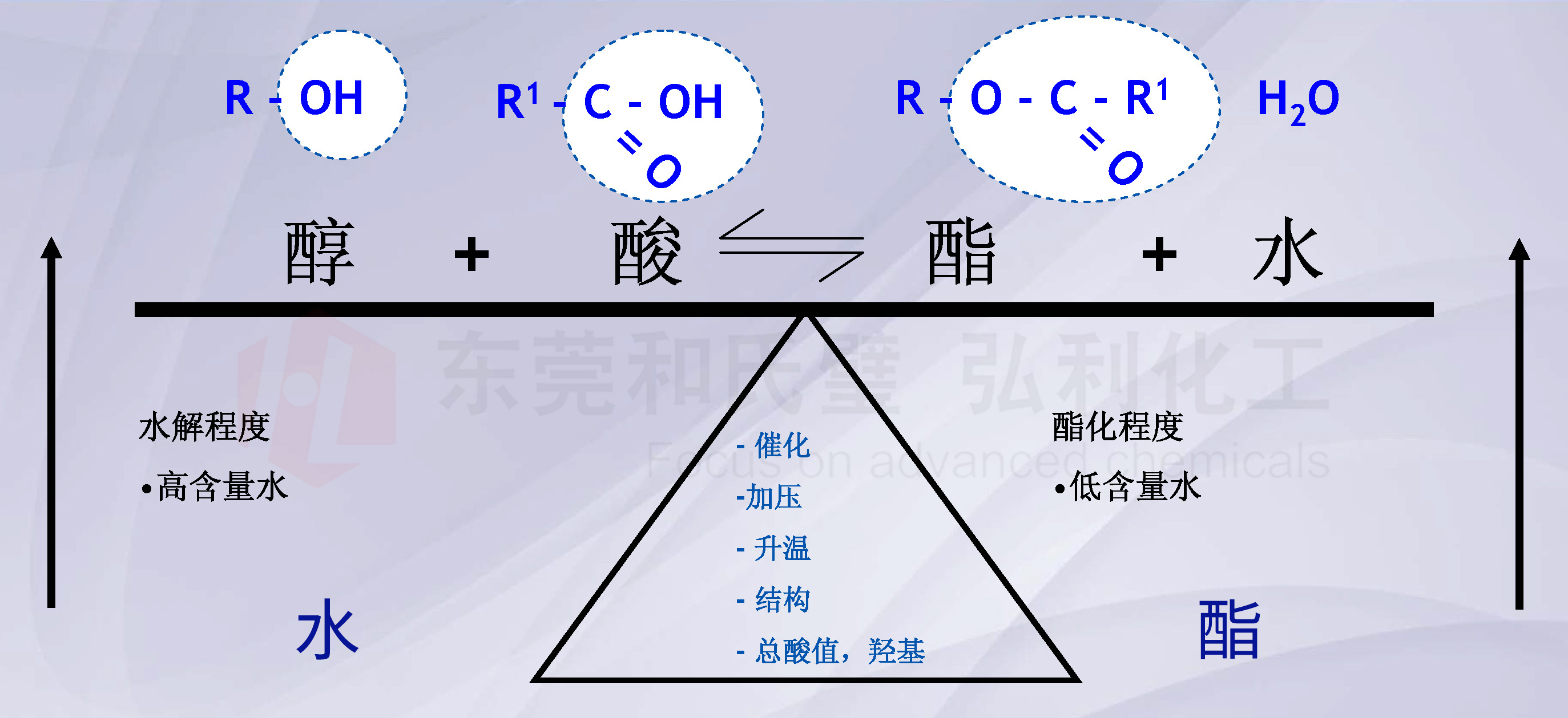 酯化反应.jpg